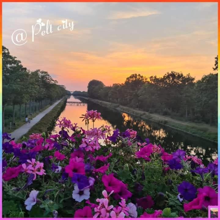 Neerpelt La Rose B&B 외부 사진