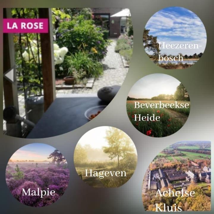 Neerpelt La Rose B&B 외부 사진